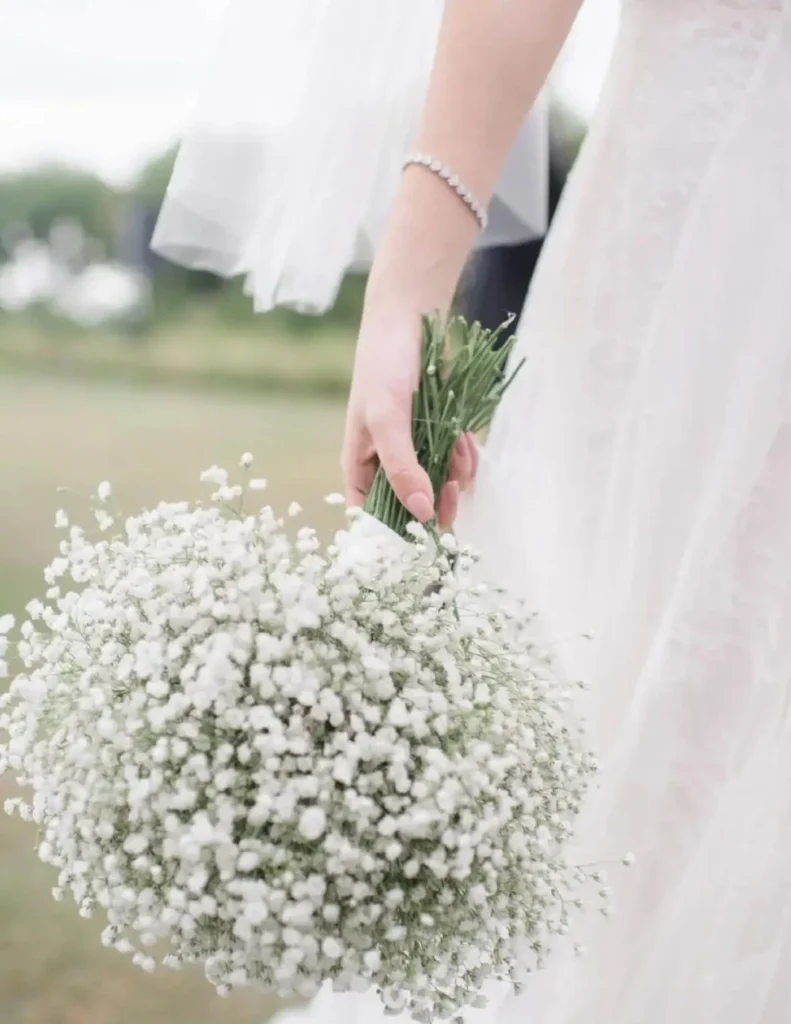 Baby Breath Bridal