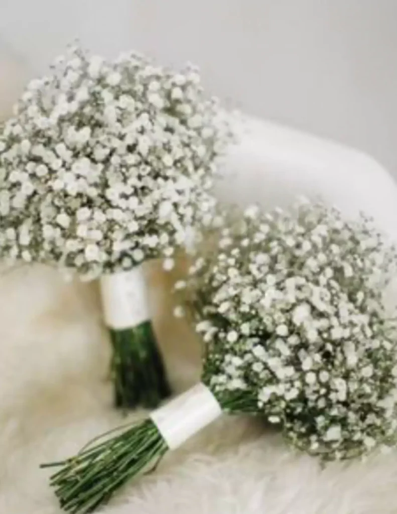 White Baby Breath Bridal